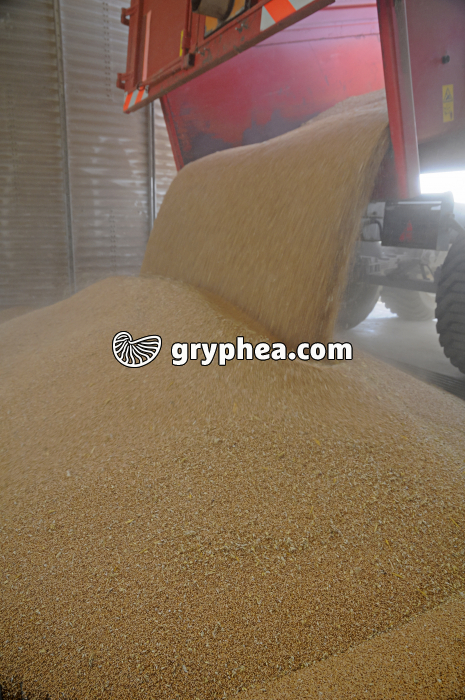 Moisson du Blé - mise en silo du Blé - gryphea.com